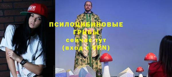 ГАЛЛЮЦИНОГЕННЫЕ ГРИБЫ Балабаново