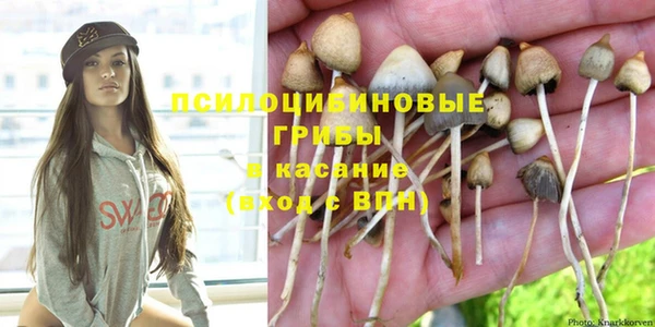 ГАЛЛЮЦИНОГЕННЫЕ ГРИБЫ Балабаново